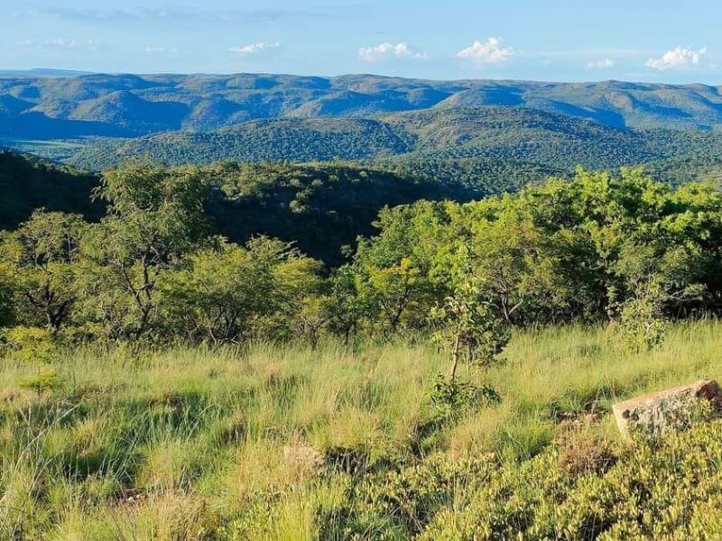 Thwane Bush Camp