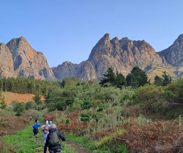 Tulbagh Disa Trail