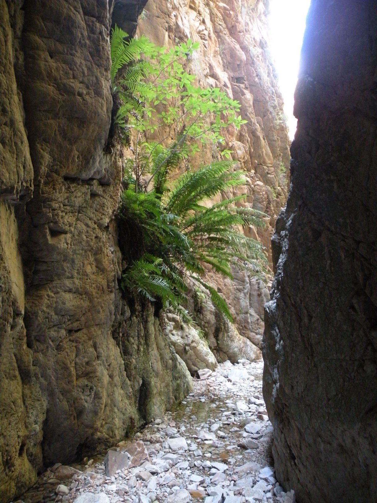 Waterkloof Hiking Trial, Baviaanskloof