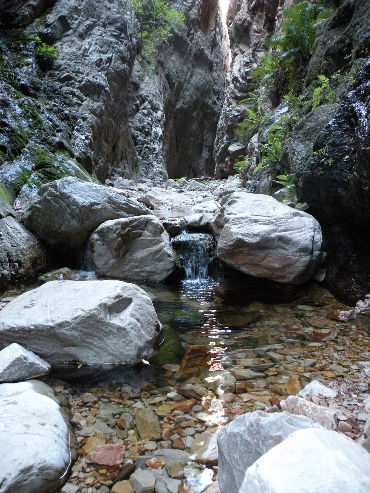 Waterkloof Hiking Trial, Baviaanskloof