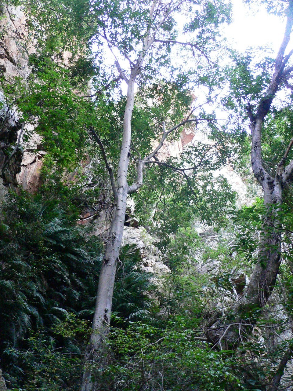 Waterkloof Hiking Trial, Baviaanskloof