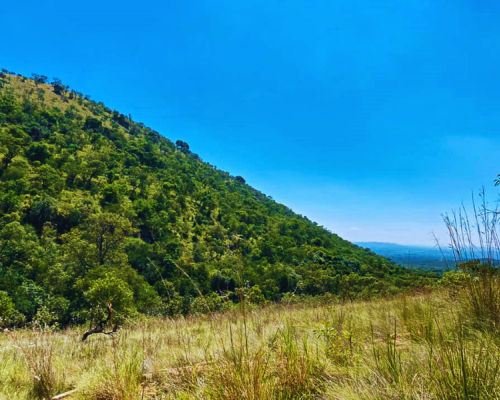 Aasvoëlbad Hiking Trails