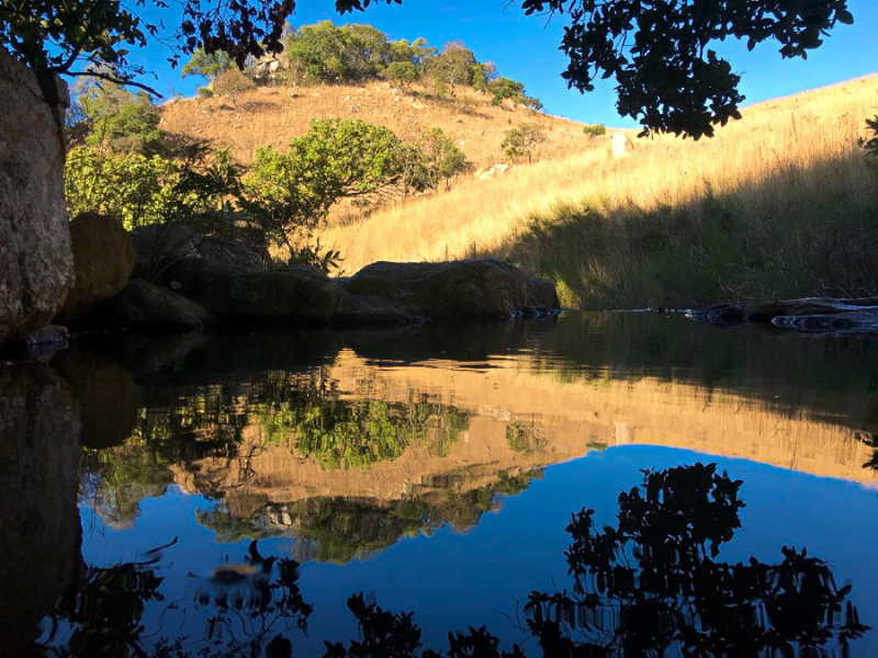 Blue Wildebeest Hiking Trail