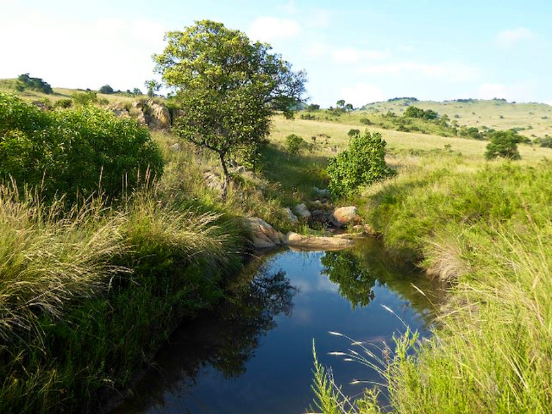 Blue Wildebeest Hiking Trail