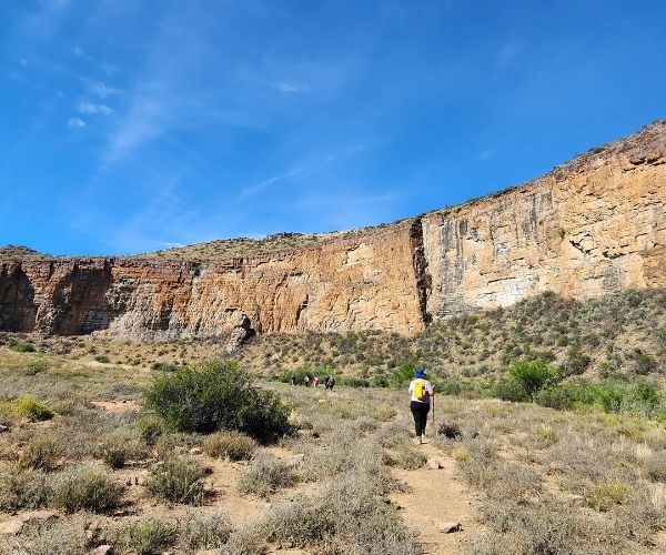 Canyon Mini Camino