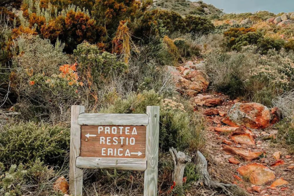 Cape of Good Hope Trail