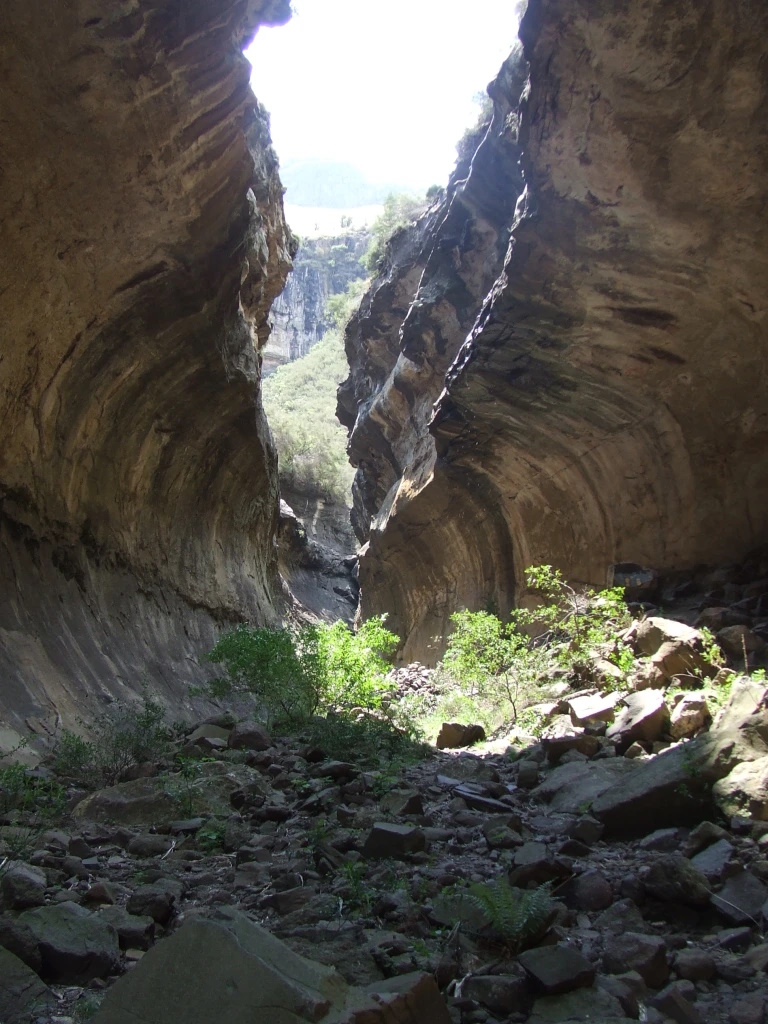 Echo Ravine Hike