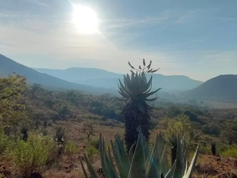 Elangeni Hiking Trail