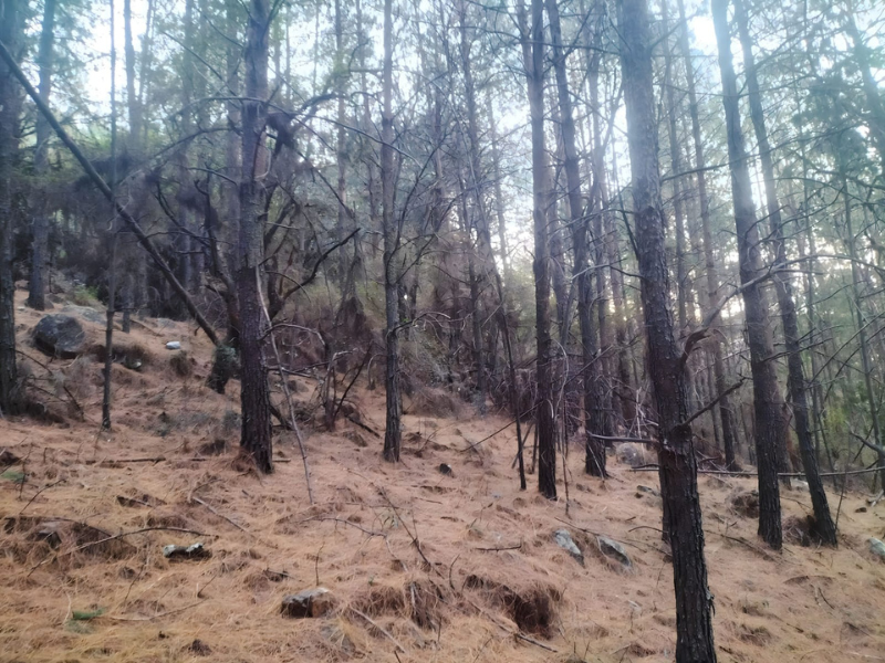 Elangeni Hiking Trail