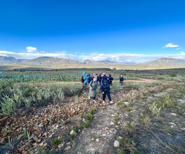 Fossil Hills Wine Walk