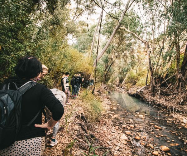Fossil Hills Wine Walk