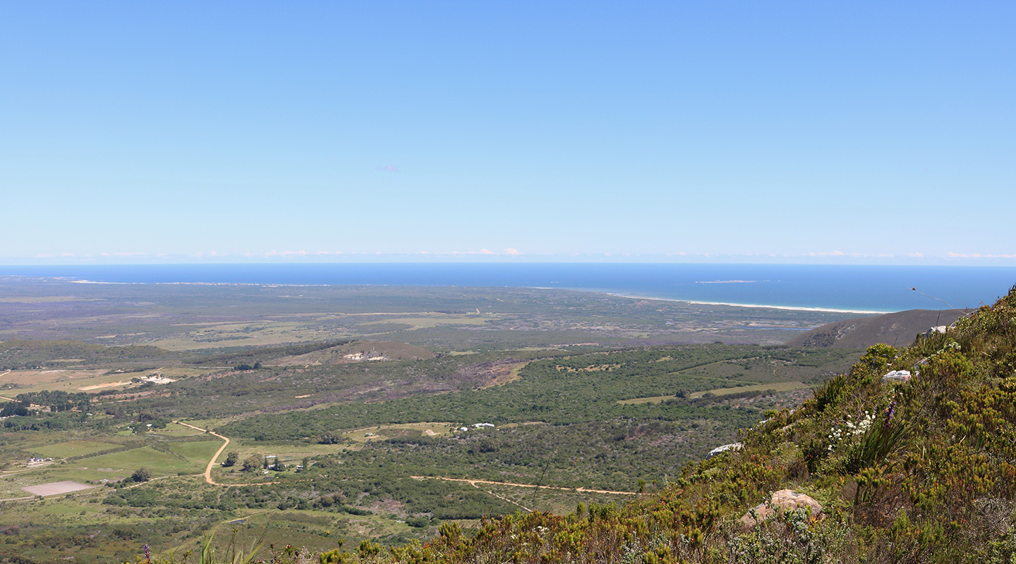 The Fynbos Trail
