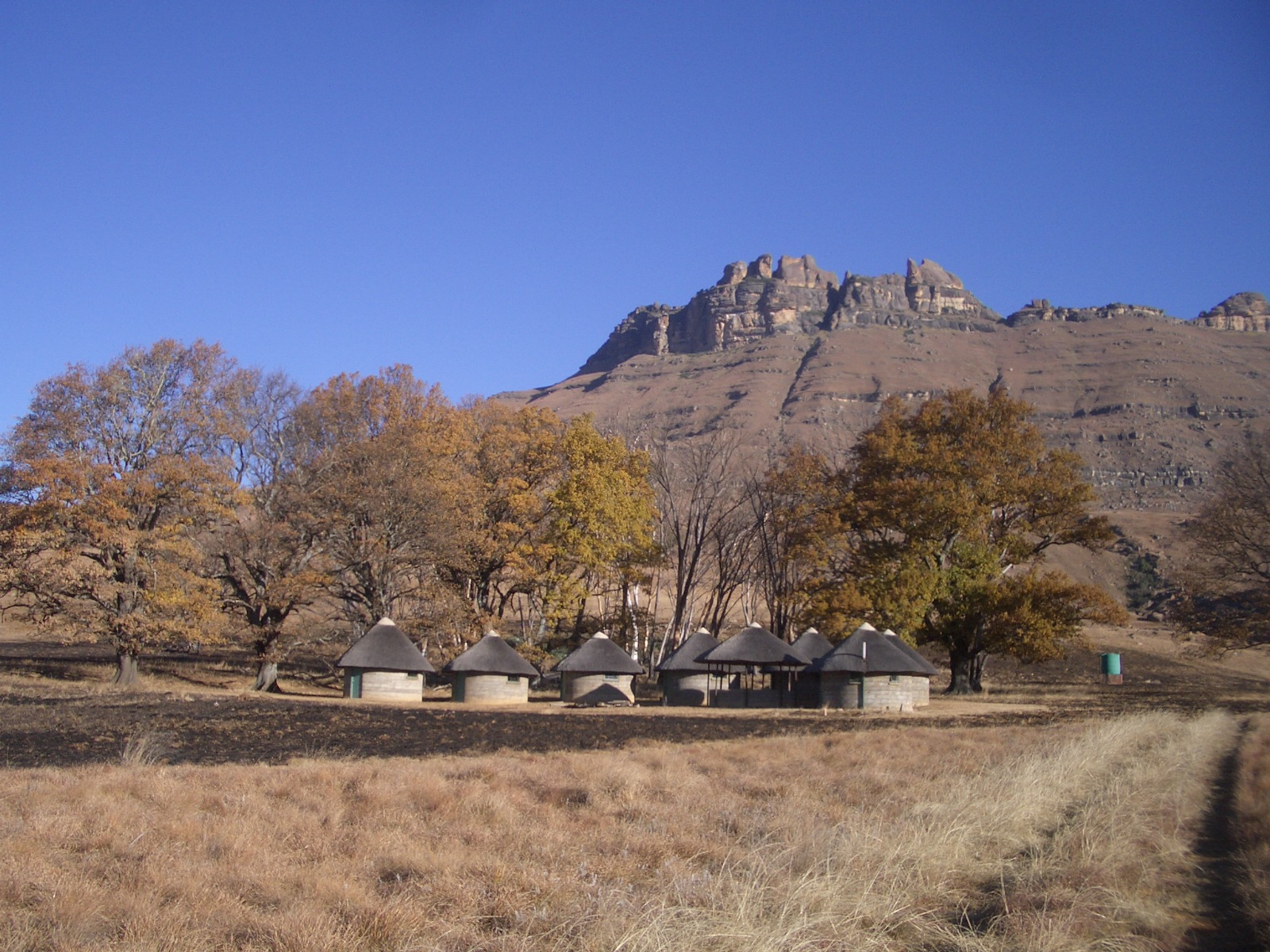 The Giant's Cup Trail