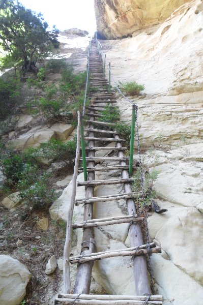Holkrans Ladder