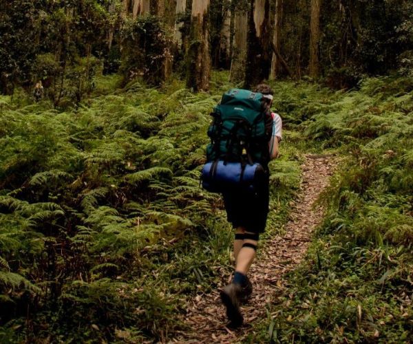 Magoebaskloof Hiking Trail