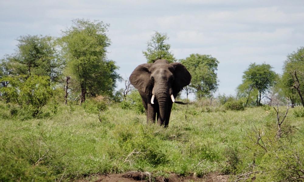 Mathikithi Wilderness Trail
