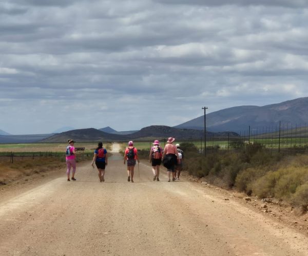 Montagu Camino