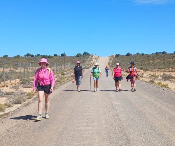 Montagu Camino