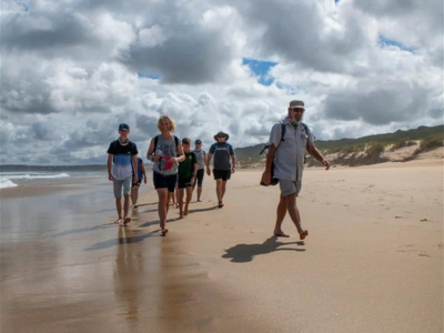 Oystercatcher Trail