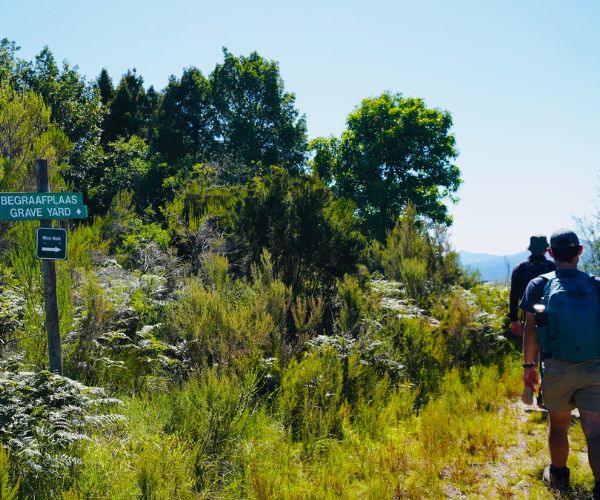 Portland Camino