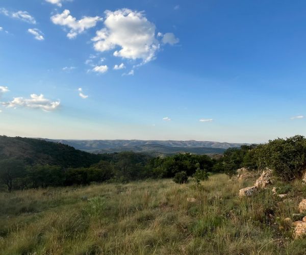 The Crater Camino