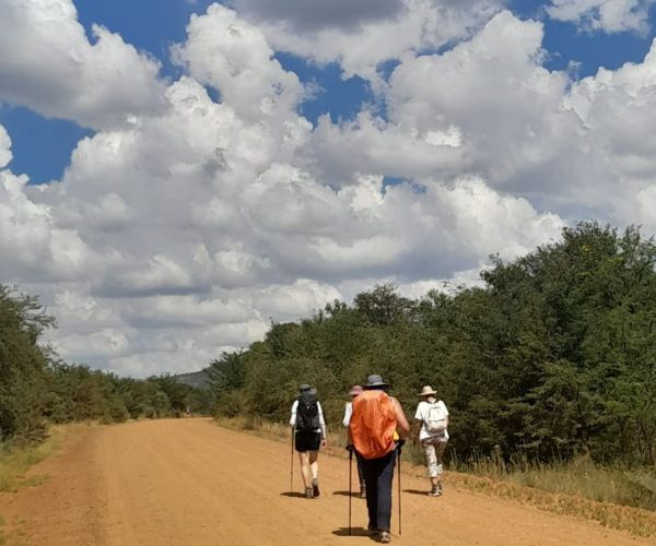 The Crater Camino