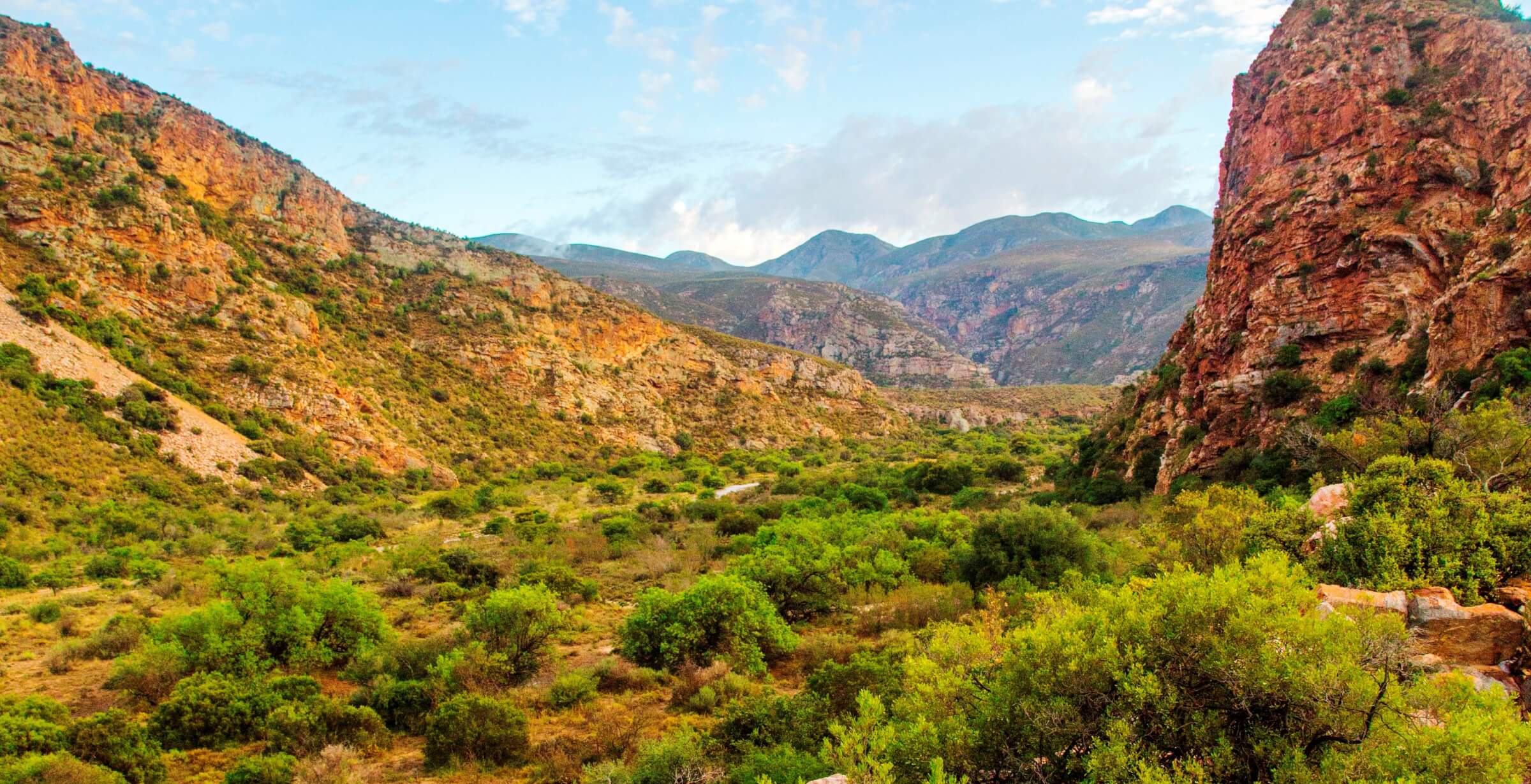 The Leopard Trail