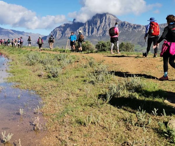 Tulbagh Disa Trail
