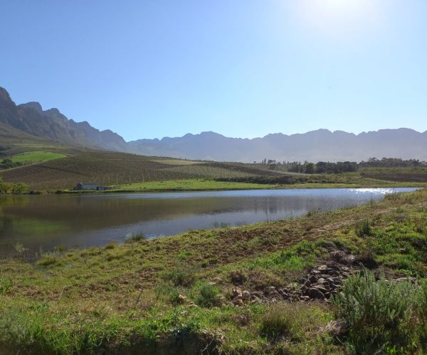 Tulbagh Disa Trail