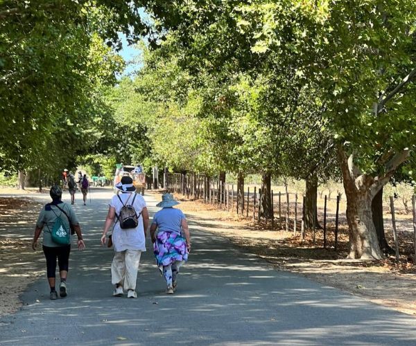 Tulbagh Wine Walk