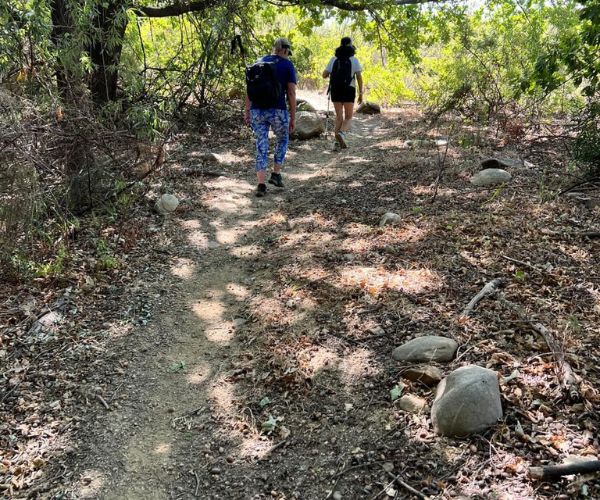 Tulbagh Wine Walk