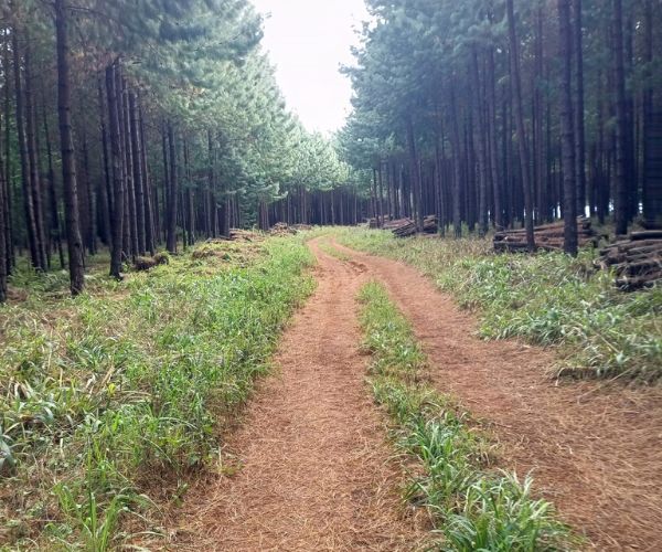 Uitsoek Hiking Trail