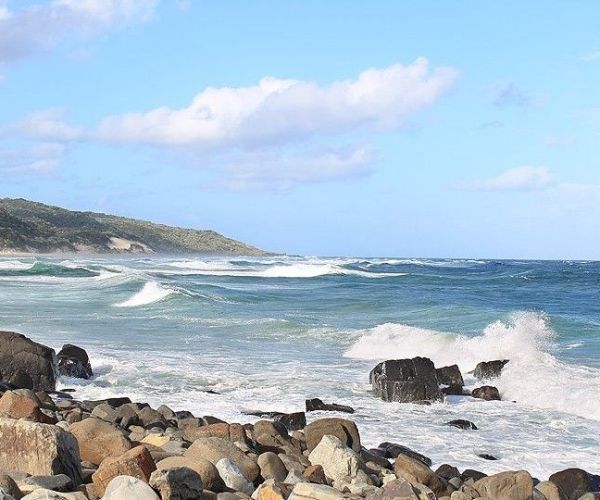 Wild Coast Amble