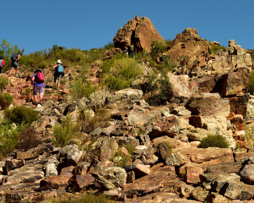 Wupperthal66 Hike