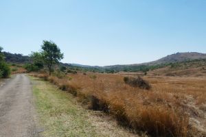 Groenkloof Nature Reserve