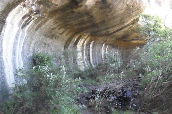 Boskloof Hike