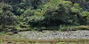 New Germany Nature Reserve