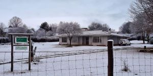 Rattray's Roost