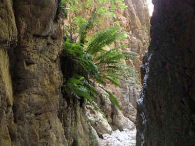 Waterkloof Hiking Trial, Baviaanskloof