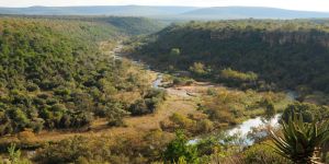 Waterberg Biosphere Reserve