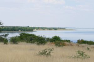 Sandveld Nature Reserve