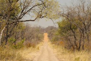 Mangetti National Park