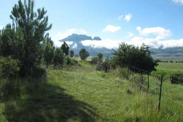 Waterkloof Hiking Trial, Moolmanshoek