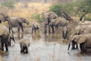Mudumu National Park