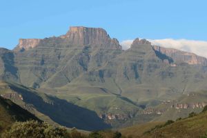 Monks Cowl Nature Reserve