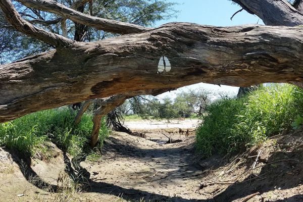 Khomas Hochland Hiking Trail