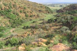 Bokmakierie Trail - Suikerbosrand