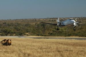 Manyeleti Game Reserve