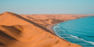 Namib Naukluft National Park - Sandwich Harbour