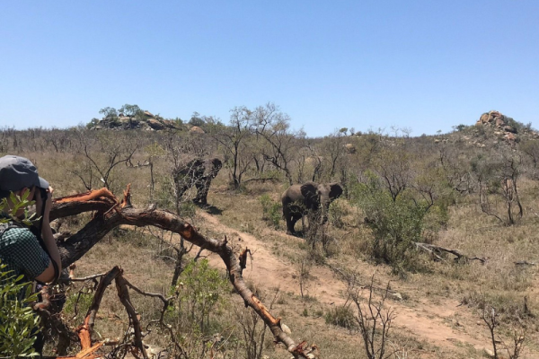 Bushman Wilderness Trail